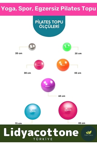 Mini Gymball 20cm Pembe Pilates Topu Denge Egzersiz Şişirme Pompa Hediyeli