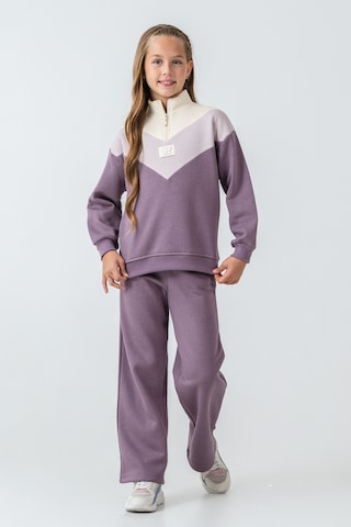 Kız Çocuk Kelebek Detaylı Yarım Fermuarlı 3 İplik Kalın Kışlık Eşofman Takımı Ak4233 Mor