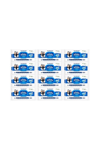 Familia Yüzey Temizlik Havlusu Maxi Hijyen 12 Li Set 1152 Yapak Beyaz Dokulu