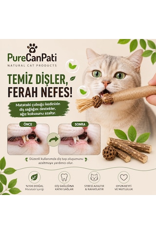 Purecanpati Matatabi Çubuğu 1 Adet