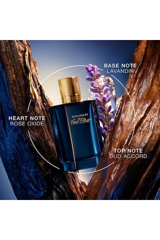 Davidoff Cool Elixir Oud Aromatique Parfum Intense 100 Ml Aromatik