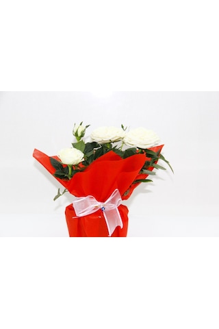 Beyaz Mini Gül - Hediyelik Yılbaşı Çiçeği