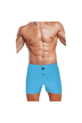 The Don Turkuaz Renk Jersey Penye/Örme Boxer