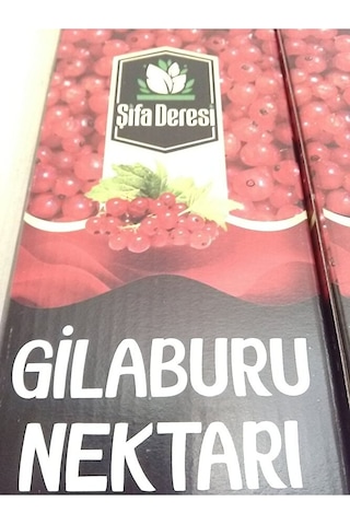 Kayseri Pazarı Gilaburu Suyu 1 L