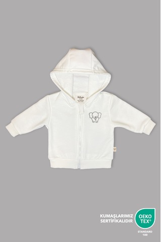 Bebek/cocuk Nakış Detaylı Fermuarlı Sweatshirt Gri