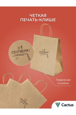 Cactus 1 Eylül İçin Süslenmiş Dekoratif Kraft Hediye Poşetleri, Kağıt 478495137