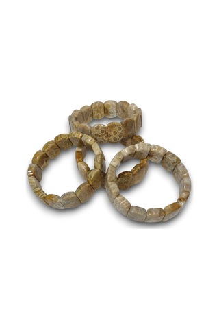 Pozitif Doğal Taş Fosil Mercan Bileklik Doğal Desenli 107-3 Çok Renkli