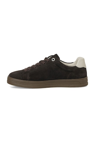 Uspoloassn U.s. Polo Assn. Tecla Kahverengi Kadın Sneaker