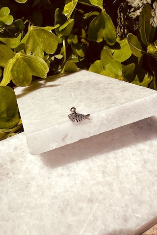 Balık Model Zirkon Taşlı Özel Tasarım Gümüş Renk Stainless Steel Çelik Tragus Helix Piercing