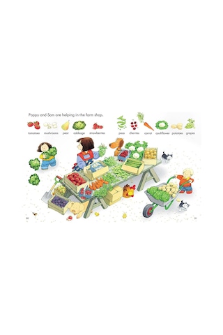 The Usborne Fyt Poppy And Sam'S First Word Book