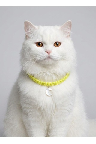 Sarı El Örgüsü Makrome Kedi Tasması 27 Cm - Ay Figürlü Charm Şık Kedi Boyun Tasması
