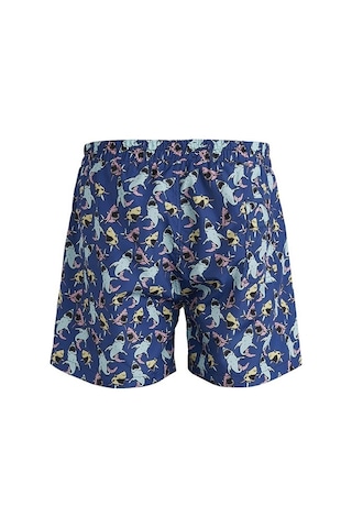 Bad Bear Erkek Şort Mayo Megalodon 210109005-Ind  489821029