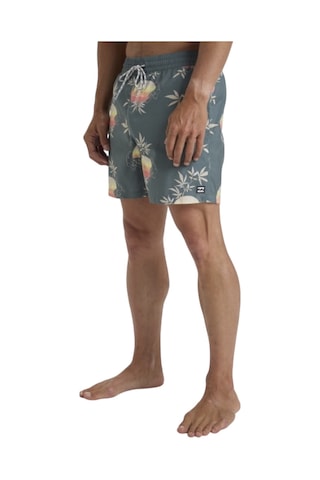 Bıllabong Billabong Vacay Lb Erkek Volley Short Dtr Çok Renkli