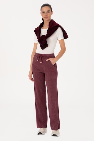 U.s. Polo Assn. Kadın Plum Eşofman Altı 50314172-vr177 New Plum