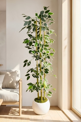 Yapay Alacalı Ficus Ağacı 3 Bambulu 110 Cm 27 33 Beyaz Küre Saksılı