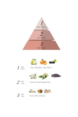 Prova Liberty Kadın Parfüm EDP 120 ML