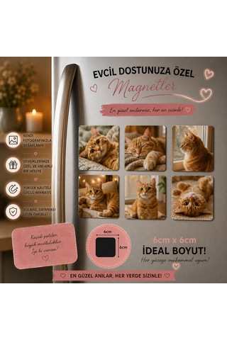 6'lı Kare Fotoğraf Magneti Evcil Hayvana Kişiselleştirilebilir Patili Dost Hediye Seti