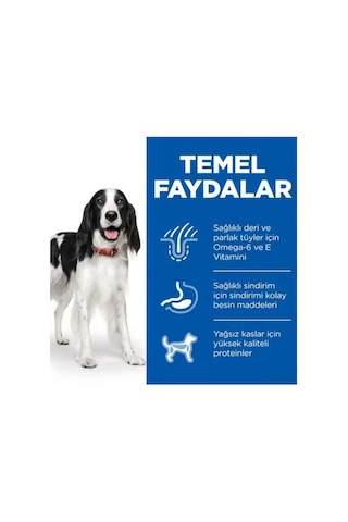 Hill's Scıence Plan Biftekli Orta Irk Yetişkin Köpek Konservesi 370 Gr