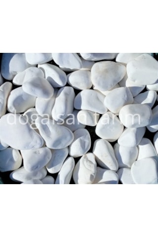 Beyaz Dolomit Taş 25 Kg 6-10 cm Dere Taşı Çakıl Taşı