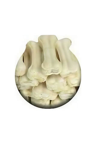 Köpek Diş Kaşıyıcı Diş Sağlığı Beyaz 12 Li Paket 7-8 Cm Köpek Diş Kaşıyıcı Diş Sağlığı Beyaz 12 Li Paket 7-8 Cm