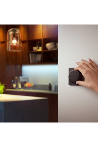 Philips Hue Tap Dial Switch Döner Anahtar, Siyah, Hue Uygulaması