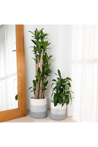 Ikili Dekoratif Jüt Saplı Hasır Sepet Saksı 30 Cm Ve 25 Cm , Dekoratif Saksı Ve Havluluk Gribeyaz