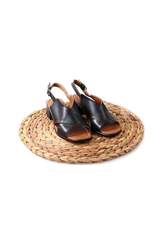 Papuçcity Frzn 02878 4,5 Cm Kadın Topuklu Sandalet 001