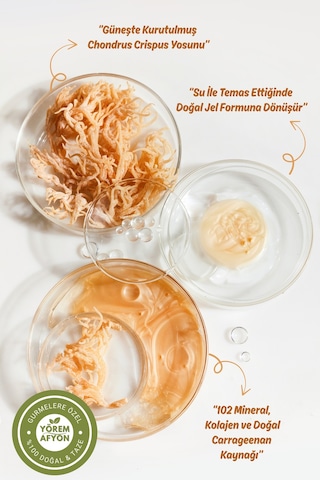 Yörem Afyon Tropik Okyanus Hasadı Deniz Kadayıfı, Irlanda Yosnu, Sea Moss Chondrus Crispus 30gr.