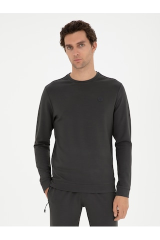 Antrasit Regular Fit Bisiklet Yaka Sweatshirt Gri