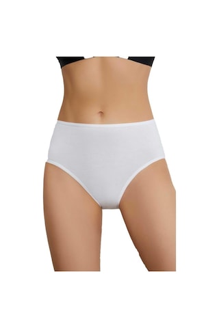 5 Li Paket Eros Bayan Yüksek Bel Slip Külot Karışık Renk Ersk760