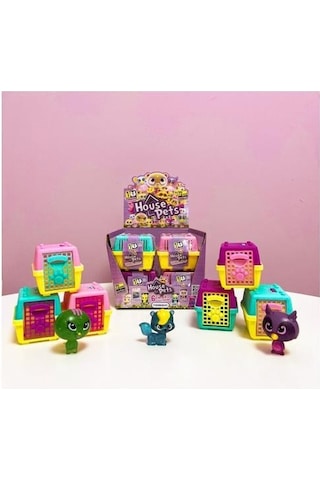 House Pets Evcil Hayvanlar