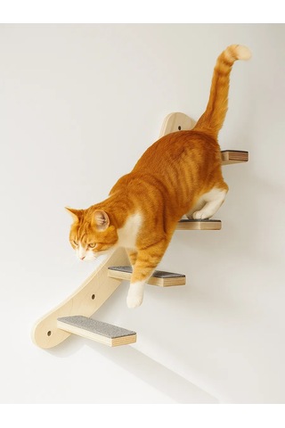 Go Cats Kediler İçin Tırmalama Podiumi Merdiveni 477851582