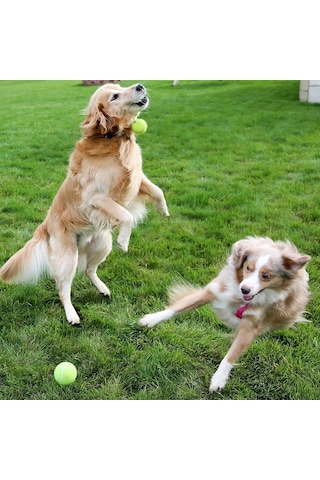 Ayrex Jouis Köpek Oyuncağı Tenis Topu 2'li Büyük Boy Dayanıklı Kauçuk İç Yapı, Diş Dostu Yumuşak Keçe