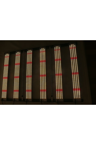 480w Lm281b Bitki Yetiştirme Lambası Full Spektrum