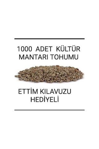 1000 Adet Kültür Mantarı Tohumu