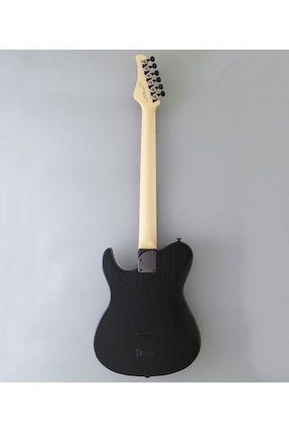Fujigen Iliad Elektro Gitar Jıl3ashde664r/opb