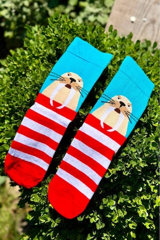 Lousocks Unisex Deniz Aslanı Desenli Renkli Soket Çorap Turkuaz
