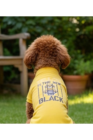 Miniş Yellow-black Küçük Irk Köpek Pike Kumaş Polo T-shirt-21583