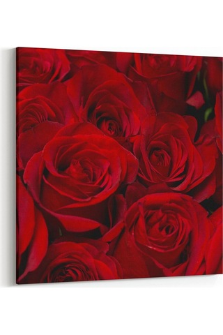 Olla 60x60 Cm 11557k Çiçek Görseli Kare Kanvas Tablo