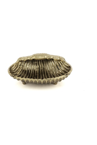 Mikasa Moor Antik Deniz Kabuğu Kase 19x7 Cm Sarı