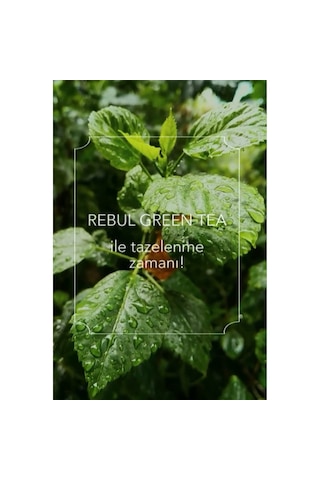 Rebul Green Tea Sprey Kolonya 3 x 50 ML