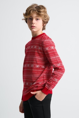 Alexandergardı Bisiklet Yaka Çocuk Triko Kazak C23-7103 Kırmızı