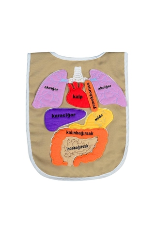 Eğitici Organ Önlüğü