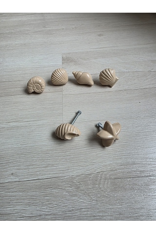6'lı Deniz Kabuğu Temalı Dolap Çekmece Kulpu, Açık Kahve, 4-5 Cm, Açık Kahverengi