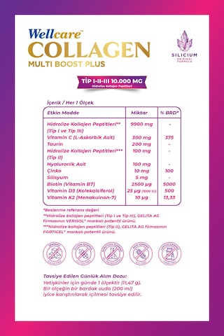 Wellcare Collagen Multiboost Plus Toz Nar Aromalı 345 Gr