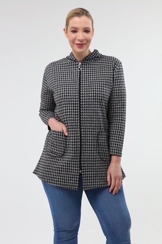 Büyük Beden Kapşonlu Sweatshirt 20C-1970 Çok Renkli