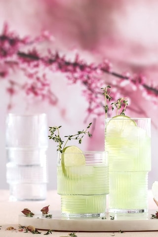 Plt Design Lav Helen 6'lı Meşrubat-su Bardağı Lv-hln356f