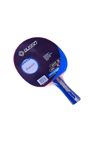 Busso Bs4802 Hudson 4 Yıldız Masa Tenisi Raketi