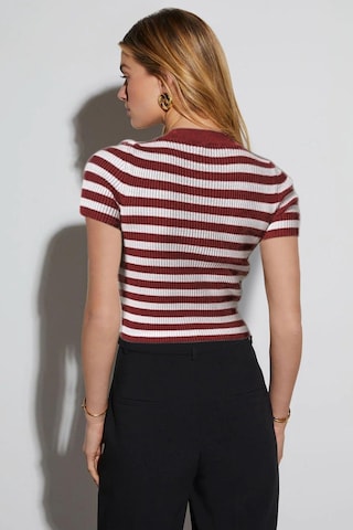 Aqe Fashion Kadın Çizgili Kısa Kol Bisiklet Yaka Camel Bluz Bordo