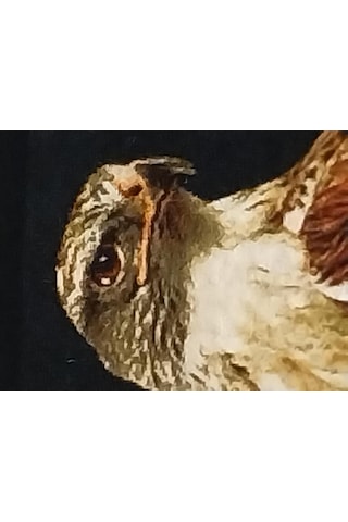 İran El Dokuması Tablo Halı Şahin Ebat: 40 X 76 Cm Çok Renkli